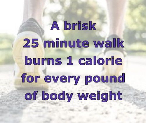 calories burned by brisk walk